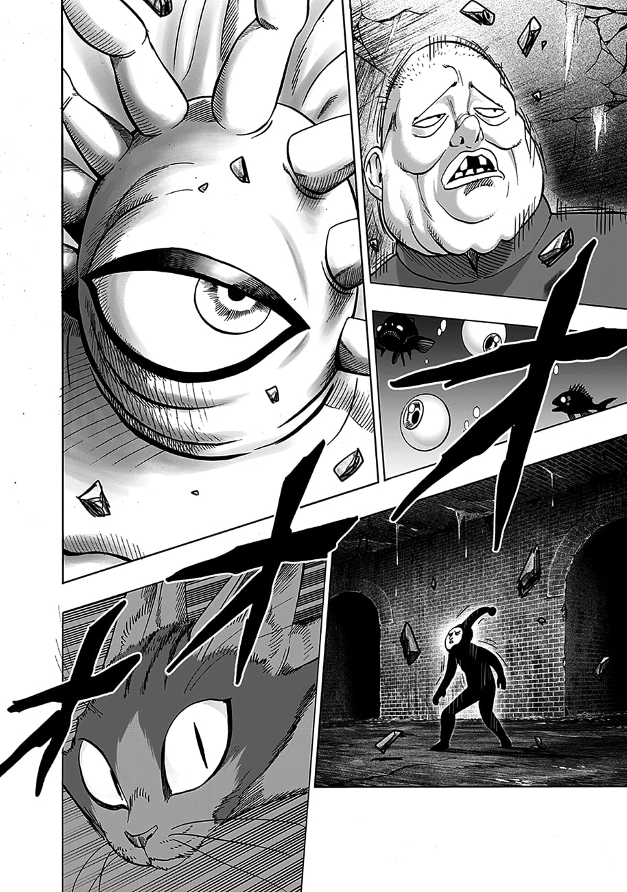 Read One Punch Man PT BR Manga Online
