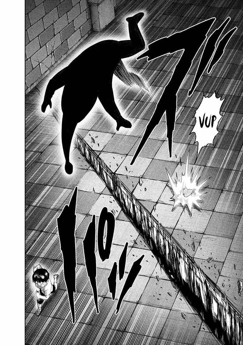 Read One Punch Man PT BR Manga Online