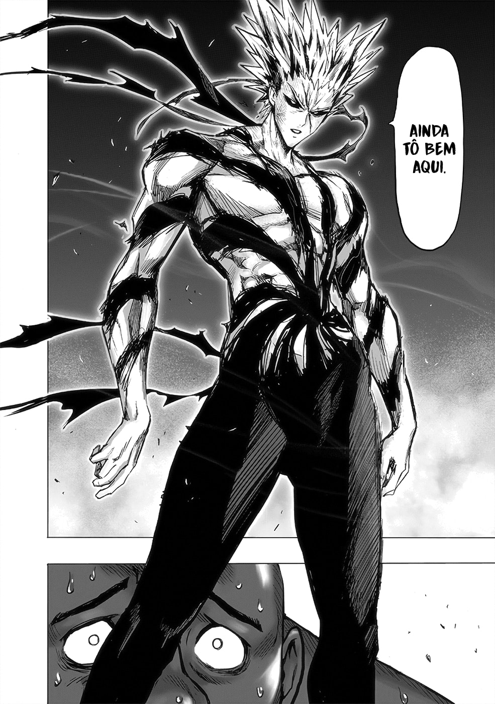 Read One Punch Man PT BR Manga Online
