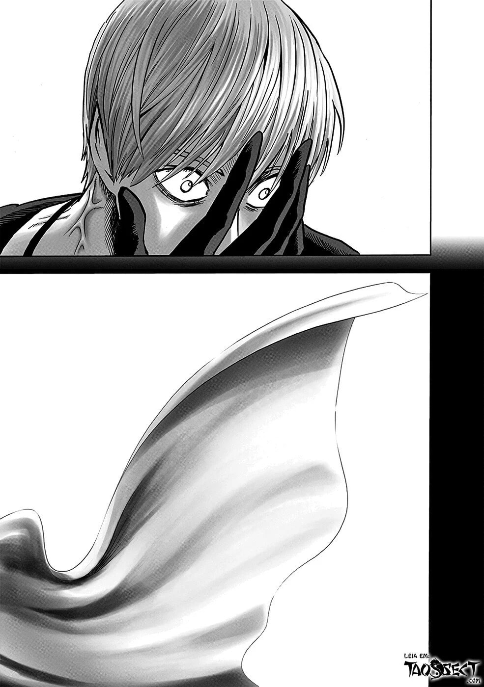Read One Punch Man PT BR Manga Online