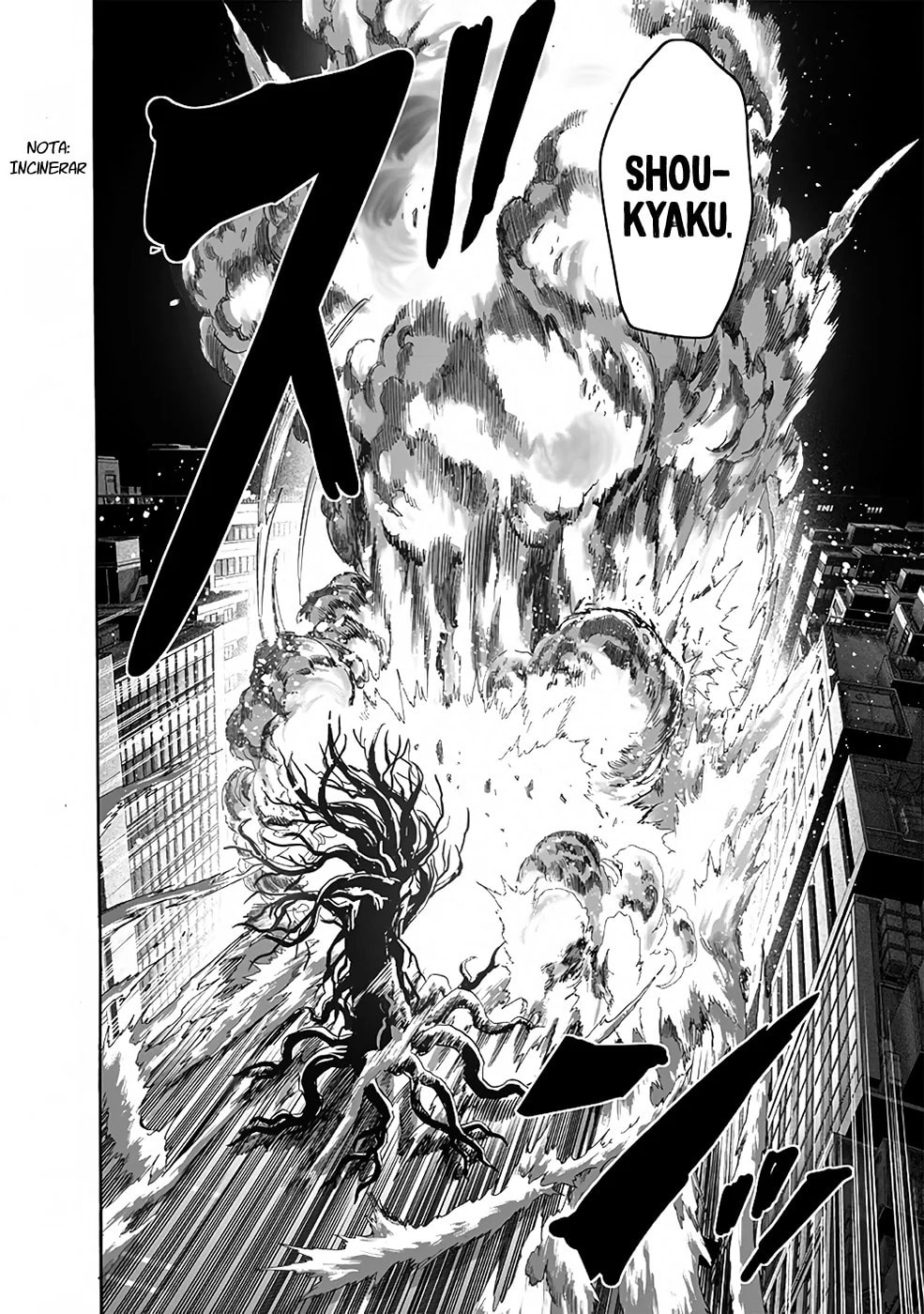 Read One Punch Man PT BR Manga Online