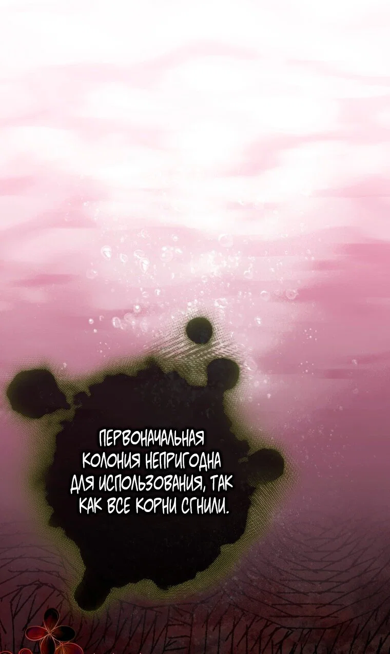 Read Я стала женой главного героя Manga Online